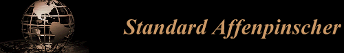 Standard Affenpinscher