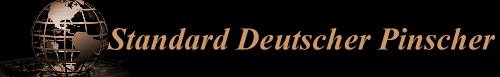 Standard Deutscher Pinscher
