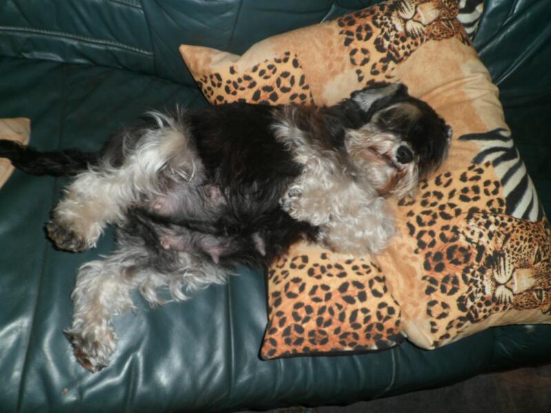 Aylas Babybauch auf linke Seite-30.4.2013