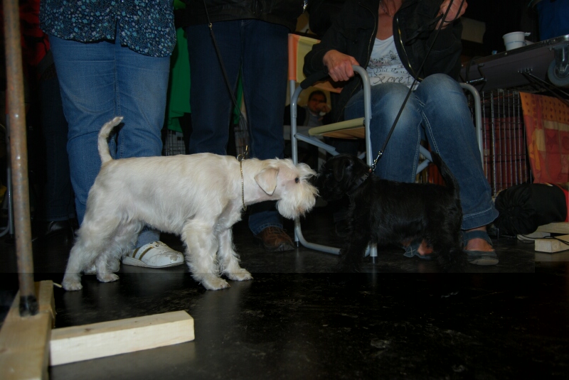 Debby in Bielefeld 26.3.2011