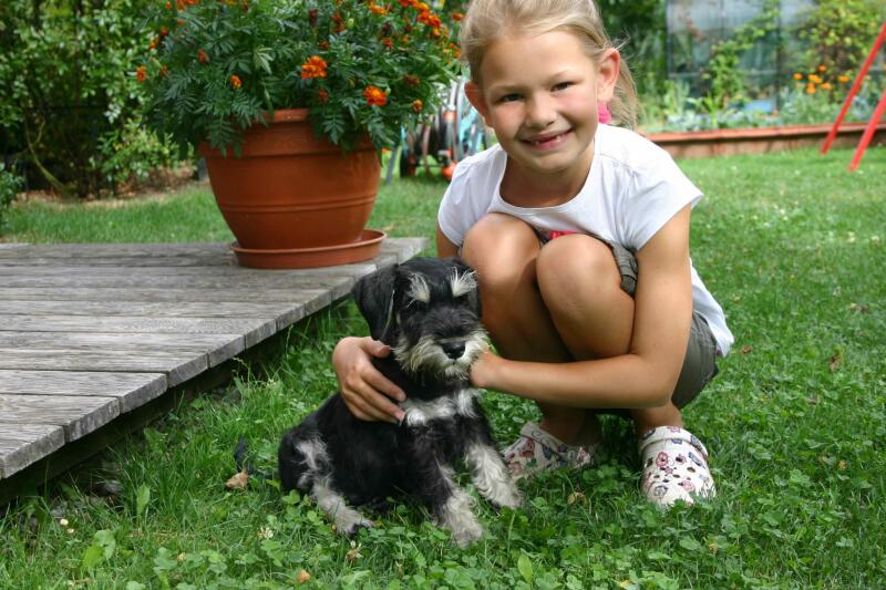 Lupus mit seinem kleinen Frauchen-8.8.2013
